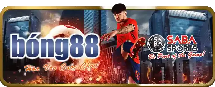Chương trình VIP đặc quyền